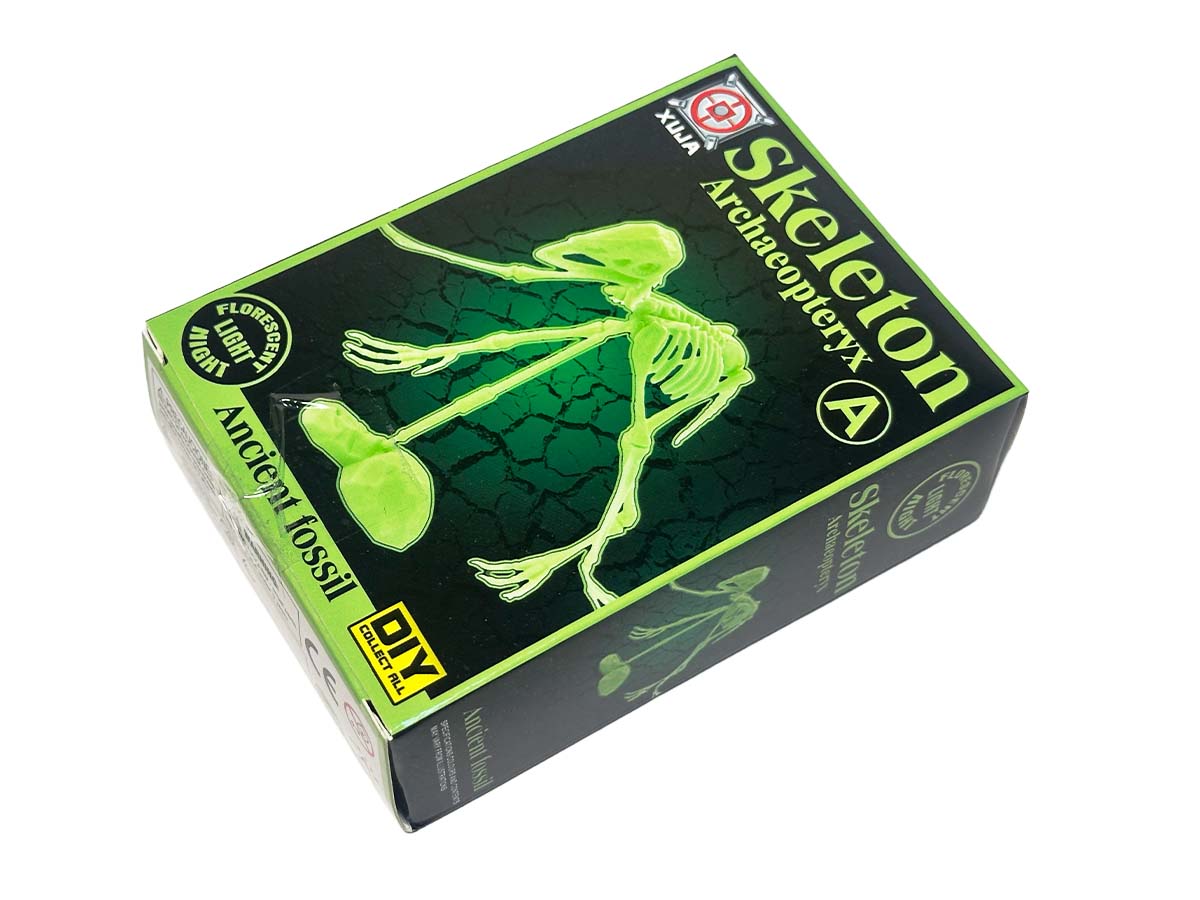 Դինոզավրի Կմախք Կոնստր. Ֆոսֆոր Տուփով