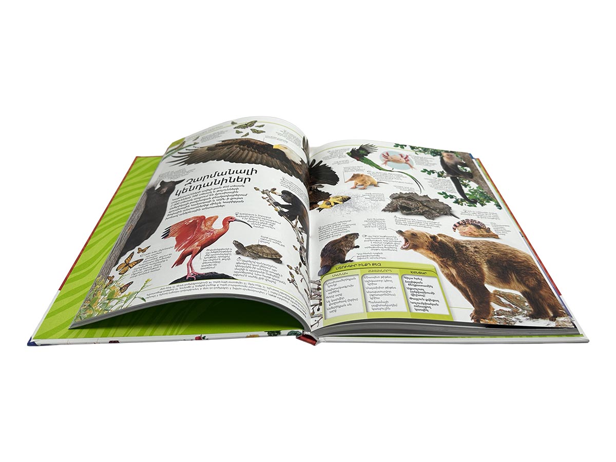 Գիրք - Հանրագիտարան - Երկիր Մոլորակ․ Ընդհանուր Գիտելիքներ, Հանճար