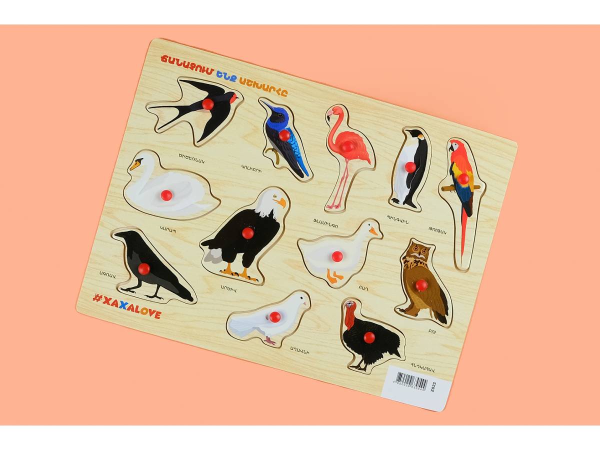 Փայտ. Ճանաչ. Ենք Աշխ-ը Թռչուն Թութակով #xaxalove