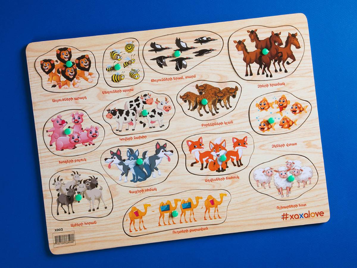 Փայտ Մեծ Ճանաչում Ենք Աշխարհը – Կենդանիներ Խմբերով #XAXALOVE