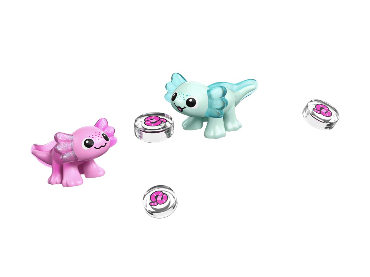 ԿԱՌՈՒՑՈՂԱԿԱՆ ԽԱՂ FRIENDS ԱՔՍՈԼՈՏԼ ԱՐԿԱԾԱՅԻՆ ՆԱՎ