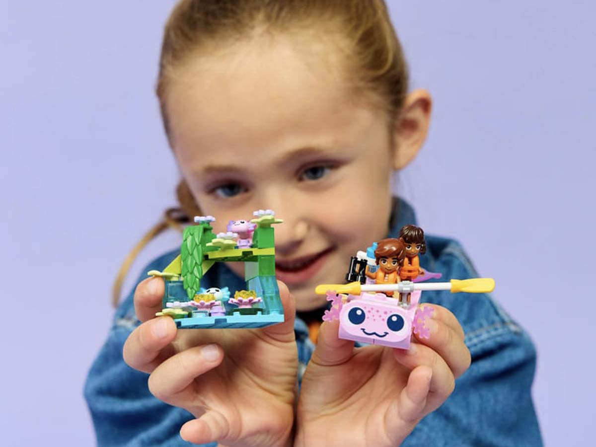 ԿԱՌՈՒՑՈՂԱԿԱՆ ԽԱՂ FRIENDS ԱՔՍՈԼՈՏԼ ԱՐԿԱԾԱՅԻՆ ՆԱՎ