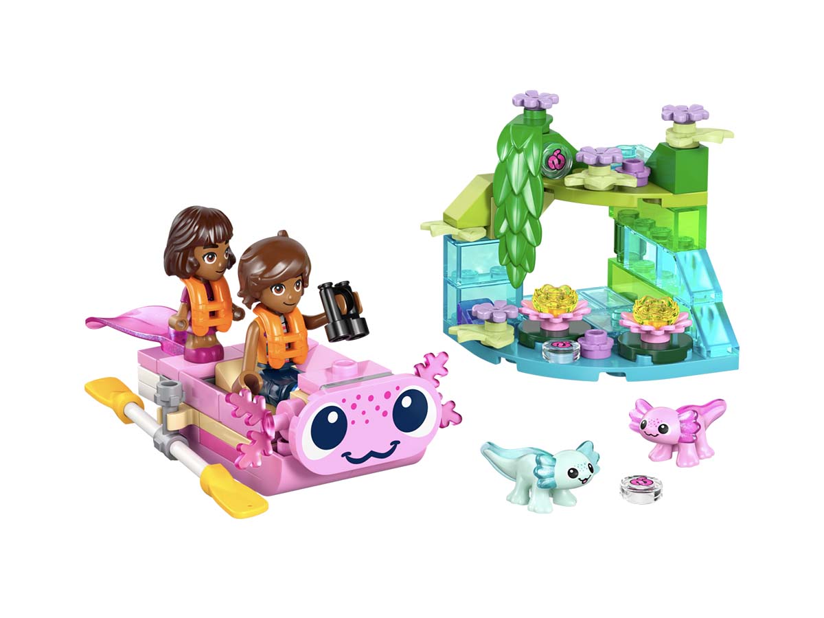 ԿԱՌՈՒՑՈՂԱԿԱՆ ԽԱՂ FRIENDS ԱՔՍՈԼՈՏԼ ԱՐԿԱԾԱՅԻՆ ՆԱՎ