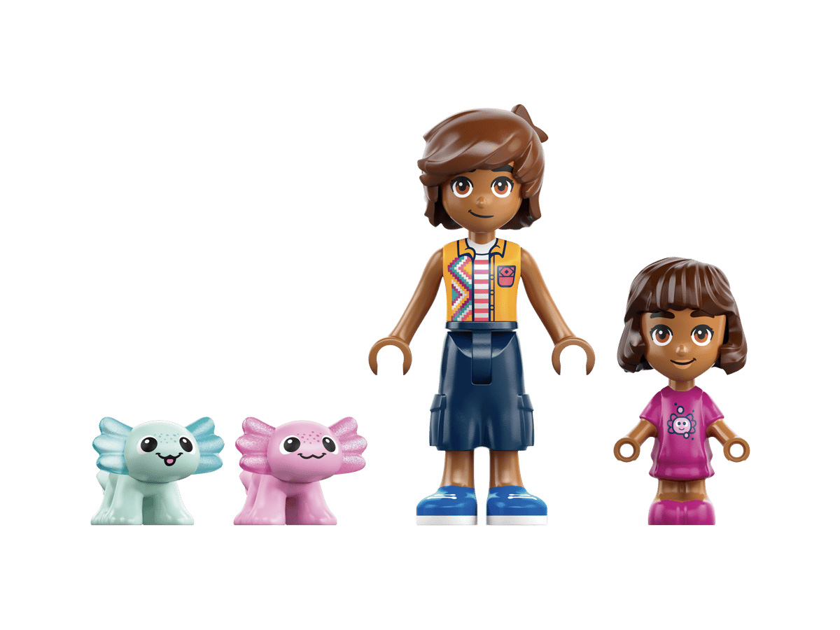 ԿԱՌՈՒՑՈՂԱԿԱՆ ԽԱՂ FRIENDS ԱՔՍՈԼՈՏԼ ԱՐԿԱԾԱՅԻՆ ՆԱՎ