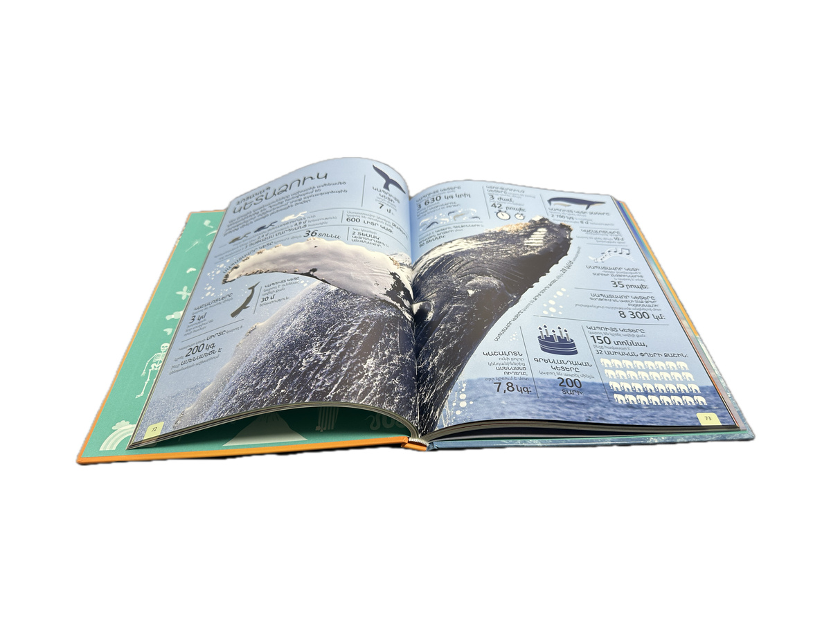 Մեր Աշխարհը Թվերով։ Զարմանահրաշ Փաստերի Հանրագիտարան