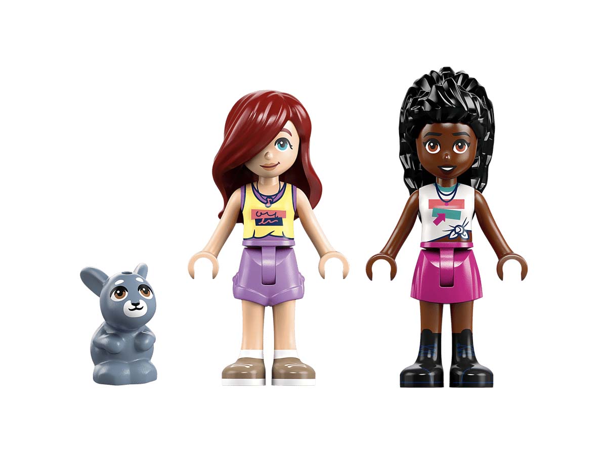 ԿԱՌՈՒՑՈՂԱԿԱՆ ԽԱՂ FRIENDS HEARTLAKE ՔԱՂԱՔԻ ՊԱՂՊԱՂԱԿԻ ՄԵՔԵՆԱ