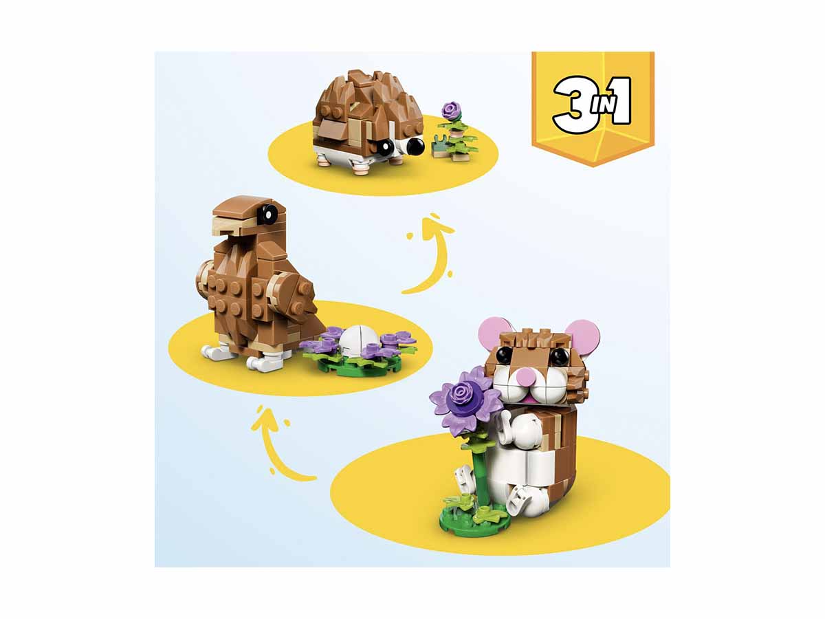 ԿԱՌՈՒՑՈՂԱԿԱՆ ԽԱՂ CREATOR ԱՆՈՒՇԻԿ ԾՈՎԱԽՈԶՈՒԿ ԾԱՂԻԿՈՎ