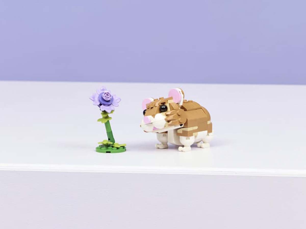 ԿԱՌՈՒՑՈՂԱԿԱՆ ԽԱՂ CREATOR ԱՆՈՒՇԻԿ ԾՈՎԱԽՈԶՈՒԿ ԾԱՂԻԿՈՎ