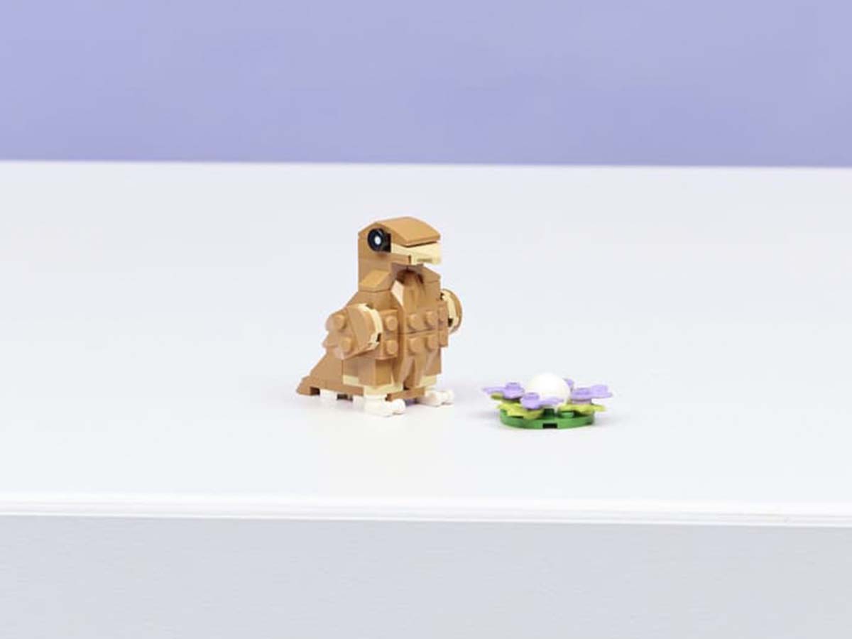 ԿԱՌՈՒՑՈՂԱԿԱՆ ԽԱՂ CREATOR ԱՆՈՒՇԻԿ ԾՈՎԱԽՈԶՈՒԿ ԾԱՂԻԿՈՎ