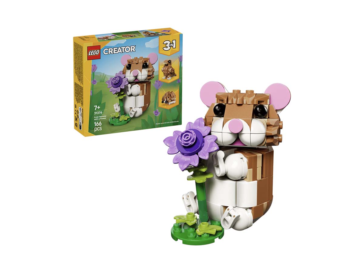 ԿԱՌՈՒՑՈՂԱԿԱՆ ԽԱՂ CREATOR ԱՆՈՒՇԻԿ ԾՈՎԱԽՈԶՈՒԿ ԾԱՂԻԿՈՎ