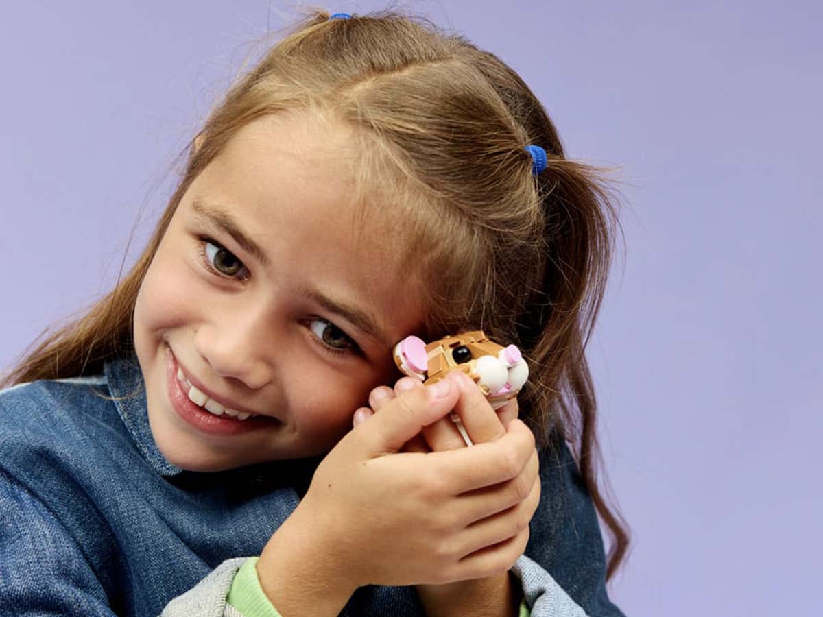 ԿԱՌՈՒՑՈՂԱԿԱՆ ԽԱՂ CREATOR ԱՆՈՒՇԻԿ ԾՈՎԱԽՈԶՈՒԿ ԾԱՂԻԿՈՎ