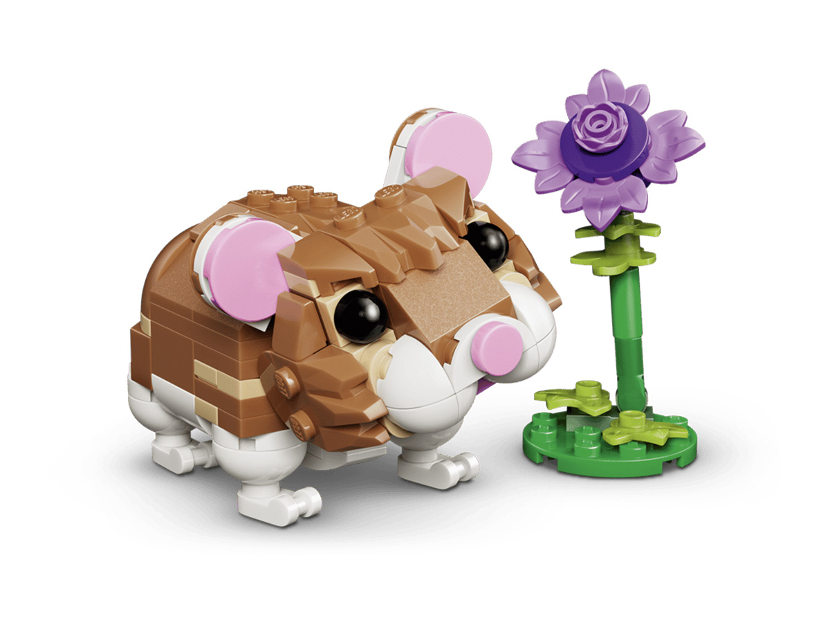 ԿԱՌՈՒՑՈՂԱԿԱՆ ԽԱՂ CREATOR ԱՆՈՒՇԻԿ ԾՈՎԱԽՈԶՈՒԿ ԾԱՂԻԿՈՎ