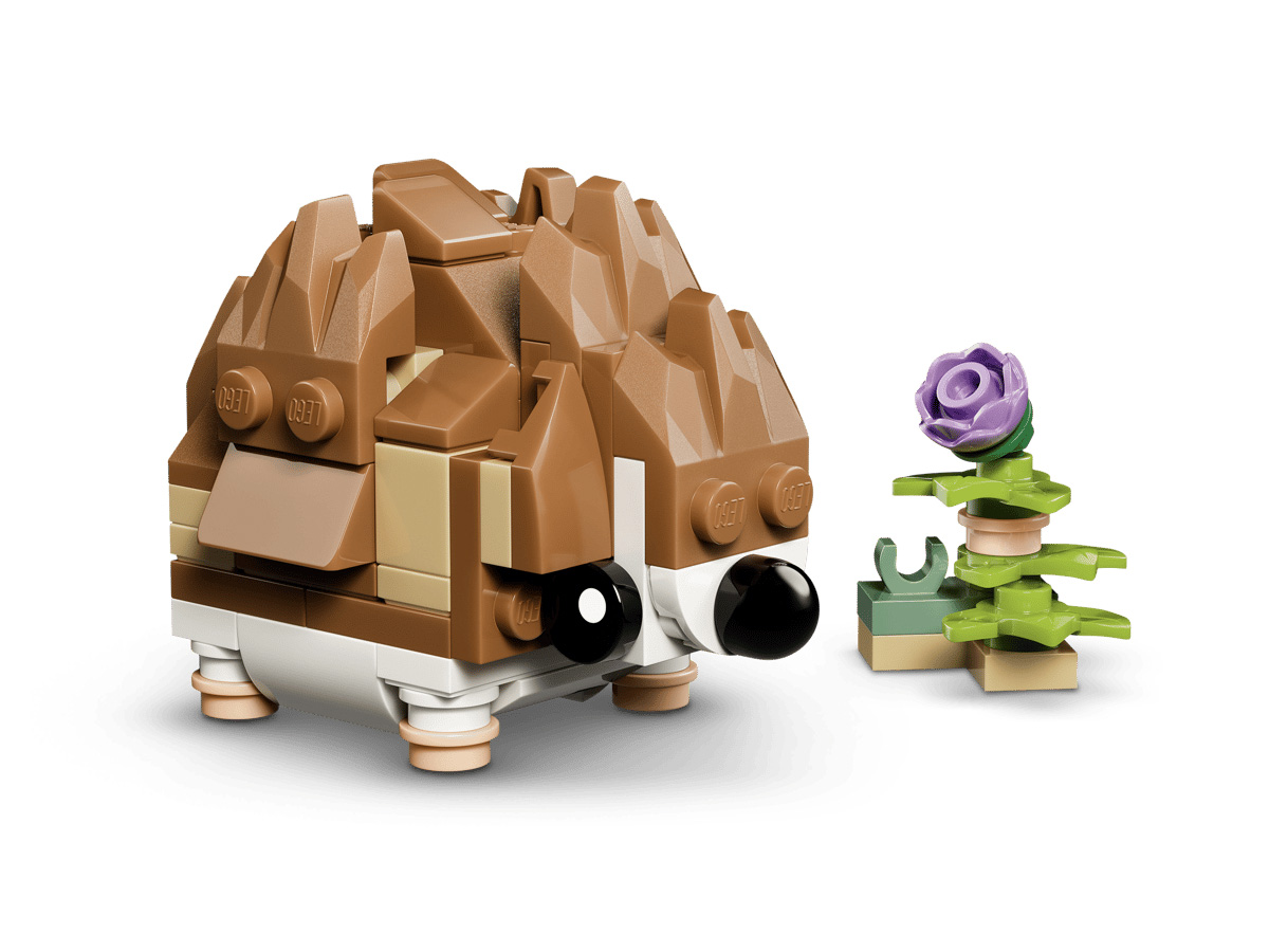 ԿԱՌՈՒՑՈՂԱԿԱՆ ԽԱՂ CREATOR ԱՆՈՒՇԻԿ ԾՈՎԱԽՈԶՈՒԿ ԾԱՂԻԿՈՎ