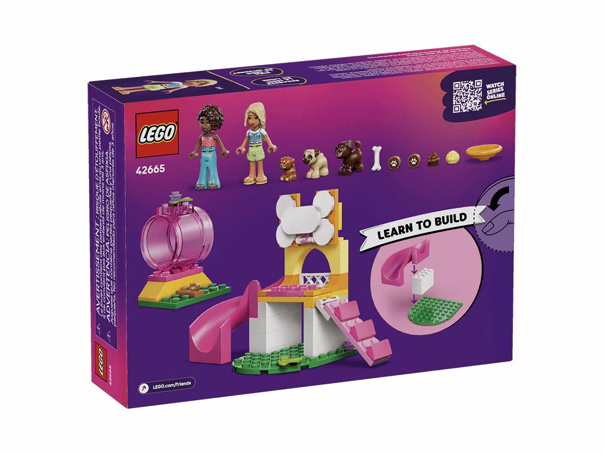 ԿԱՌՈՒՑՈՂԱԿԱՆ ԽԱՂ FRIENDS ՇՈՒՆԻԿՆԵՐԻ ԽԱՂԱՀՐԱՊԱՐԱԿ