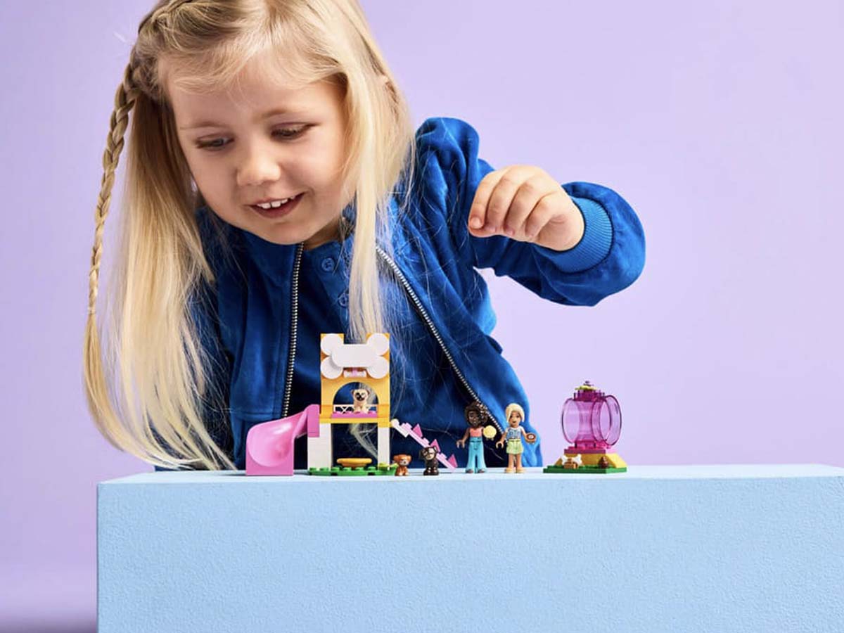 ԿԱՌՈՒՑՈՂԱԿԱՆ ԽԱՂ FRIENDS ՇՈՒՆԻԿՆԵՐԻ ԽԱՂԱՀՐԱՊԱՐԱԿ