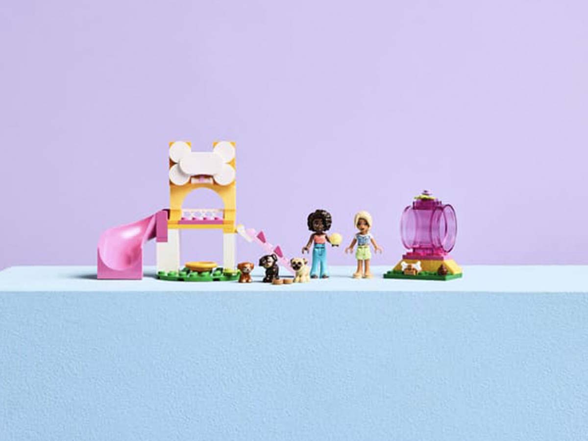 ԿԱՌՈՒՑՈՂԱԿԱՆ ԽԱՂ FRIENDS ՇՈՒՆԻԿՆԵՐԻ ԽԱՂԱՀՐԱՊԱՐԱԿ