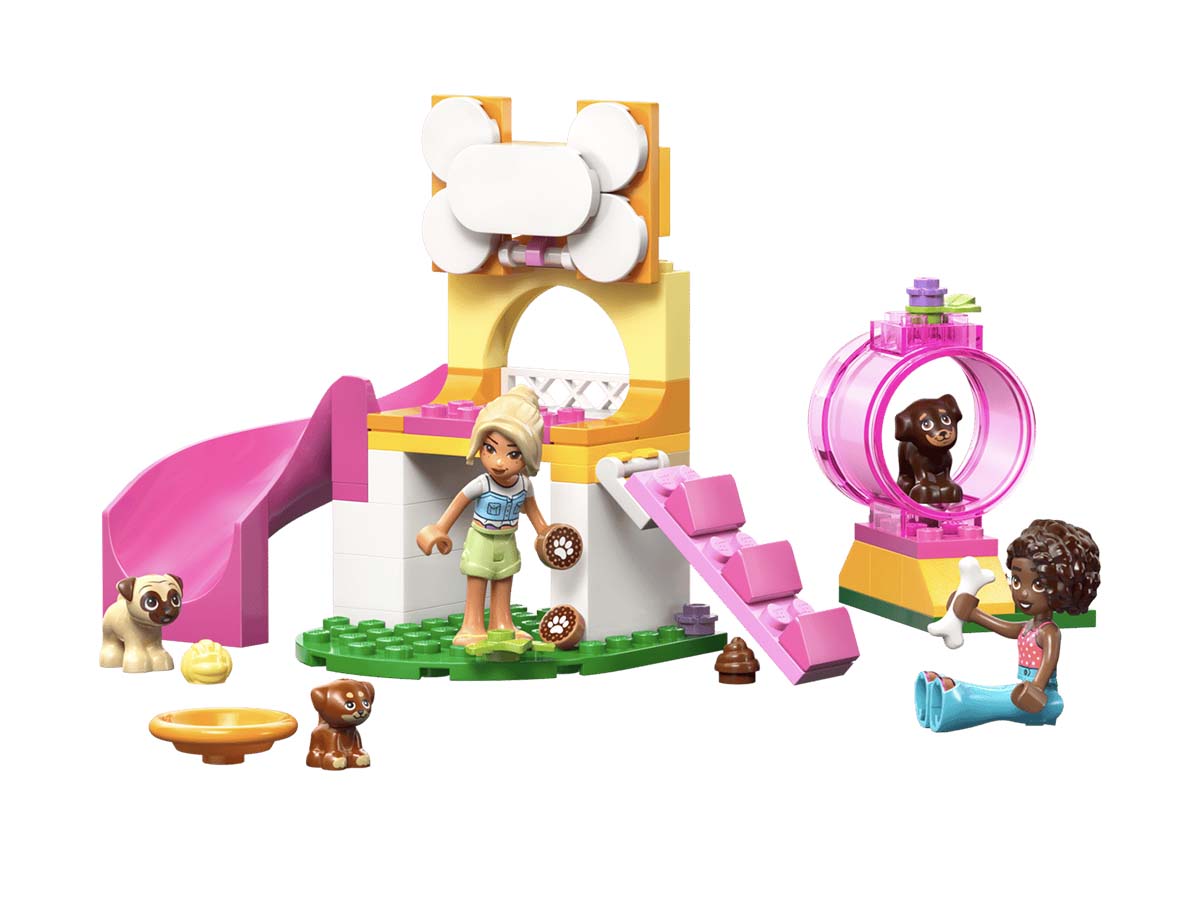 ԿԱՌՈՒՑՈՂԱԿԱՆ ԽԱՂ FRIENDS ՇՈՒՆԻԿՆԵՐԻ ԽԱՂԱՀՐԱՊԱՐԱԿ