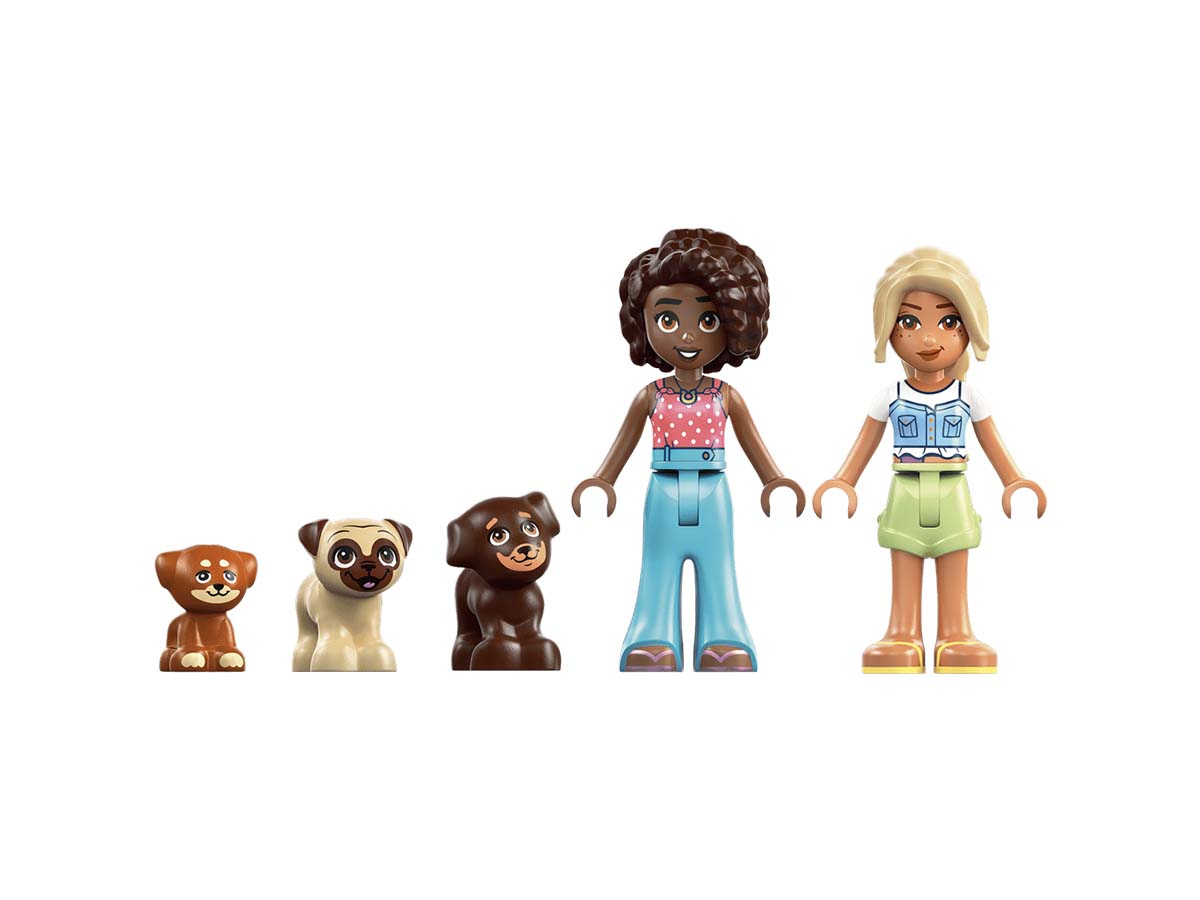 ԿԱՌՈՒՑՈՂԱԿԱՆ ԽԱՂ FRIENDS ՇՈՒՆԻԿՆԵՐԻ ԽԱՂԱՀՐԱՊԱՐԱԿ