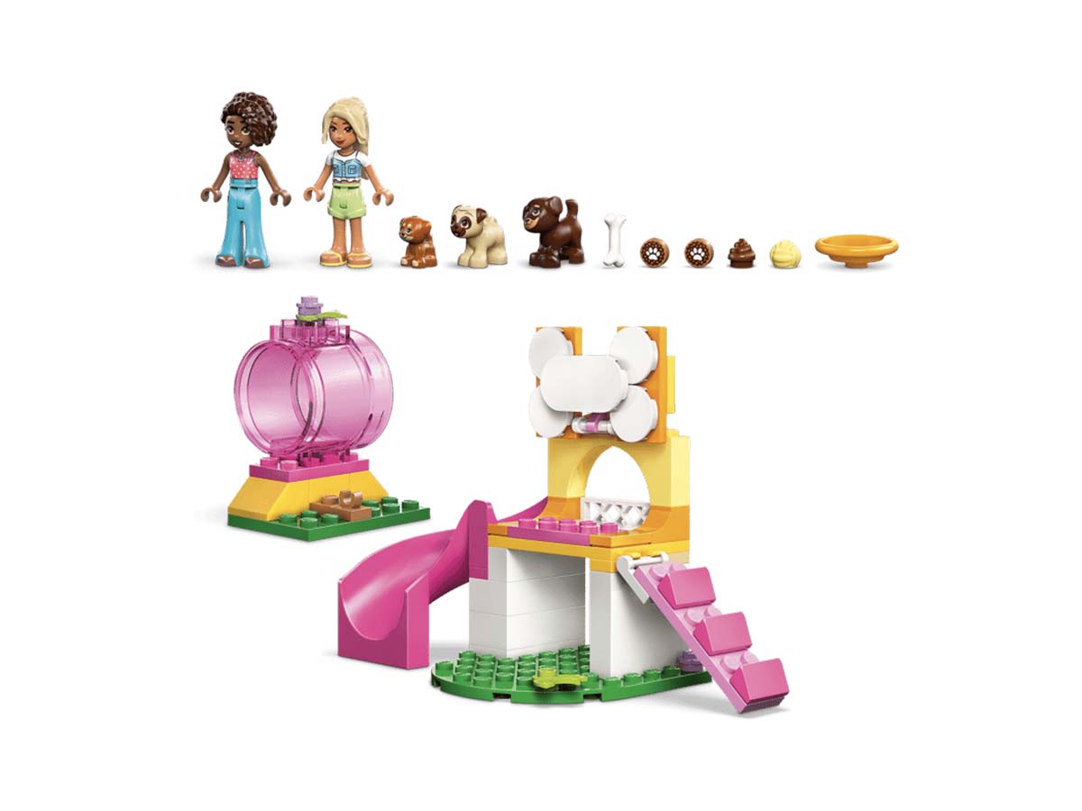 ԿԱՌՈՒՑՈՂԱԿԱՆ ԽԱՂ FRIENDS ՇՈՒՆԻԿՆԵՐԻ ԽԱՂԱՀՐԱՊԱՐԱԿ