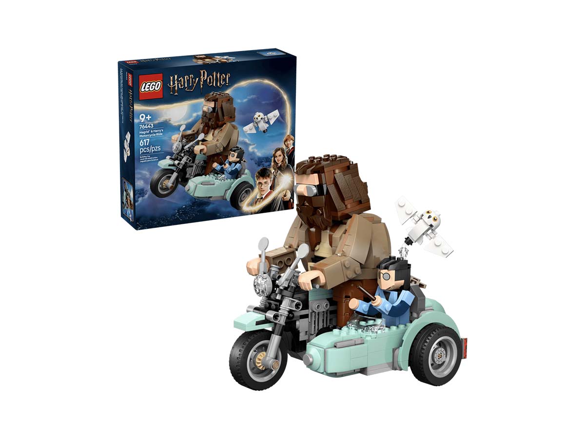 ԿԱՌՈՒՑՈՂԱԿԱՆ ԽԱՂ HARRY POTTER ՀԱԳՐԻԴԻ և ՀԱՐԻԻ ՄՈՏՈՑԻԿԼԵՏՈՎ ՃԱՄՓՈՐԴՈՒԹՅ