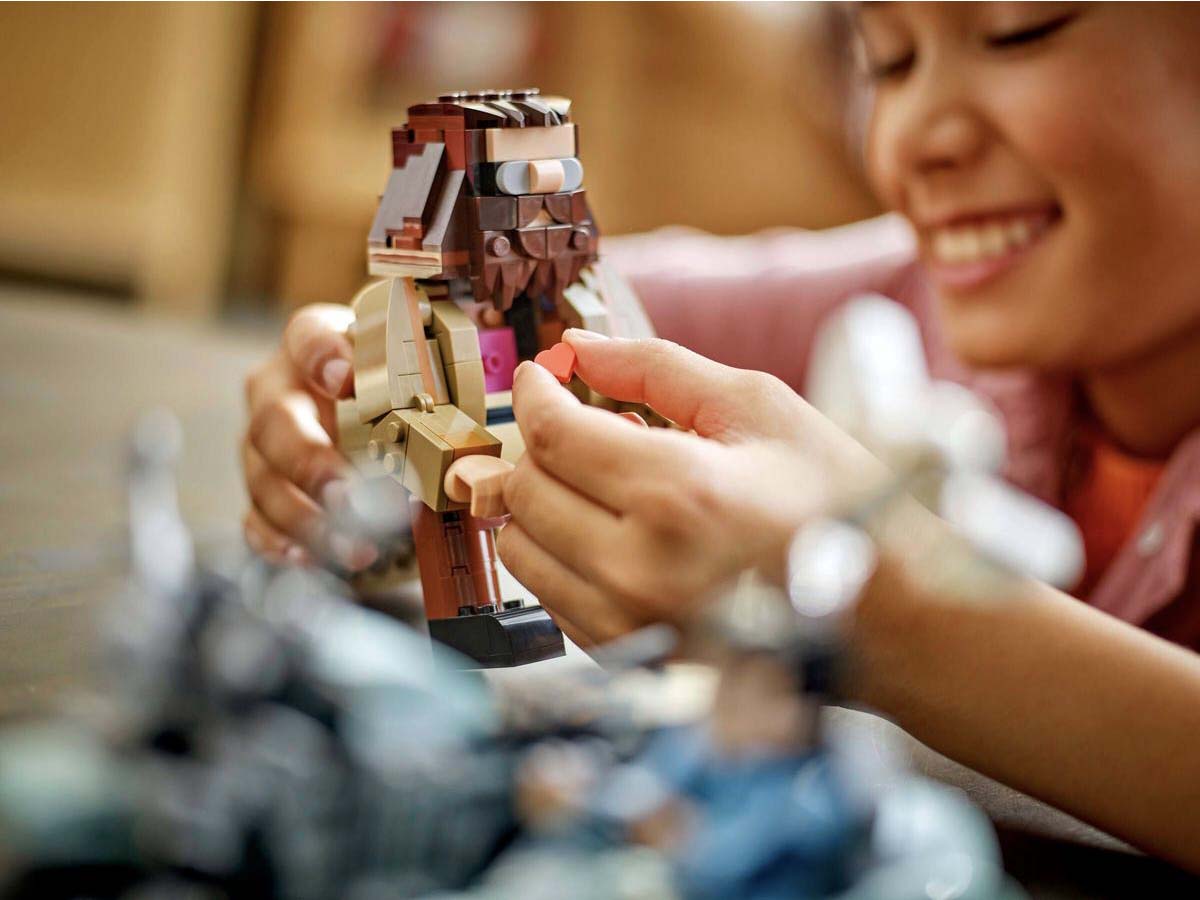 ԿԱՌՈՒՑՈՂԱԿԱՆ ԽԱՂ HARRY POTTER ՀԱԳՐԻԴԻ և ՀԱՐԻԻ ՄՈՏՈՑԻԿԼԵՏՈՎ ՃԱՄՓՈՐԴՈՒԹՅ