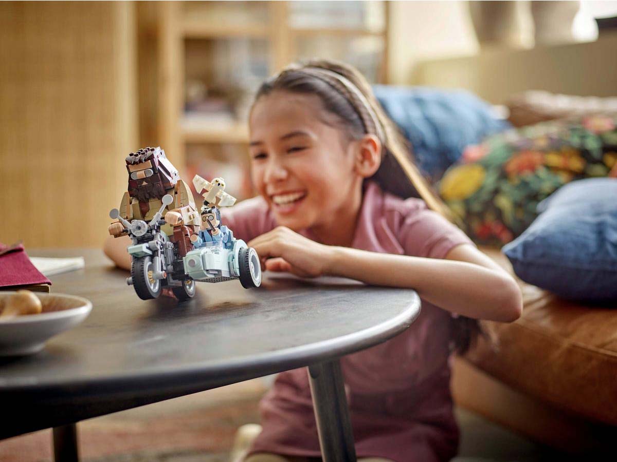 ԿԱՌՈՒՑՈՂԱԿԱՆ ԽԱՂ HARRY POTTER ՀԱԳՐԻԴԻ և ՀԱՐԻԻ ՄՈՏՈՑԻԿԼԵՏՈՎ ՃԱՄՓՈՐԴՈՒԹՅ