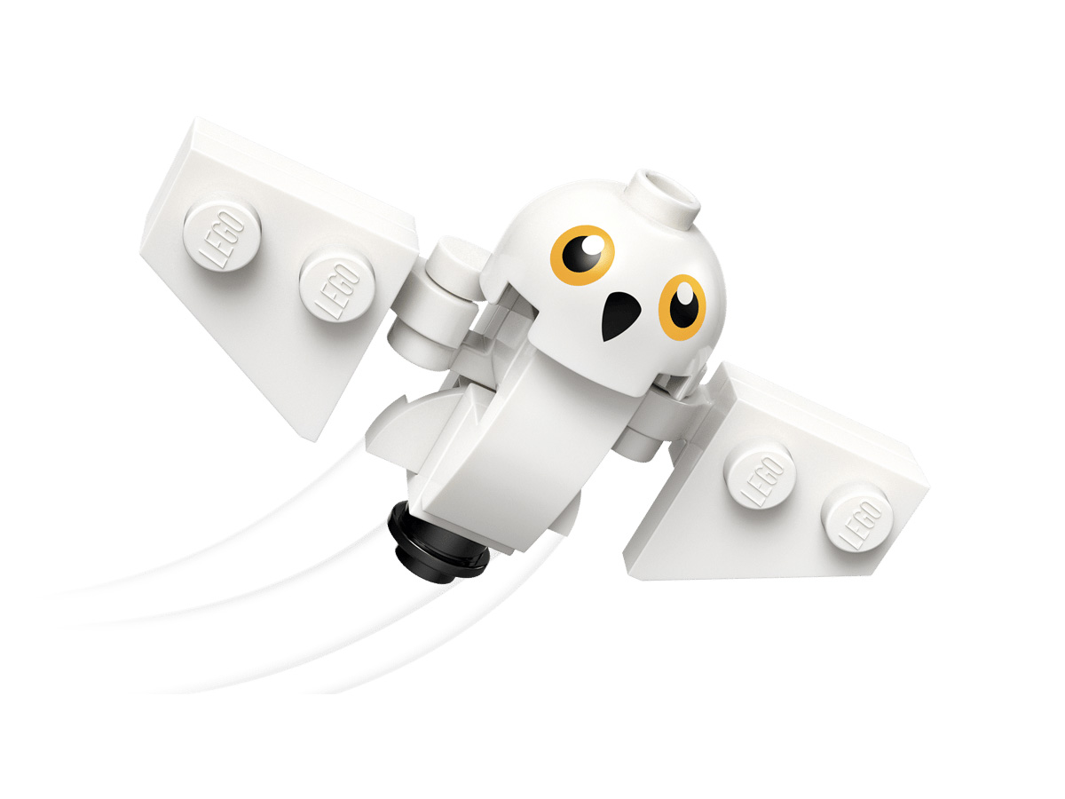 ԿԱՌՈՒՑՈՂԱԿԱՆ ԽԱՂ HARRY POTTER ՀԱԳՐԻԴԻ և ՀԱՐԻԻ ՄՈՏՈՑԻԿԼԵՏՈՎ ՃԱՄՓՈՐԴՈՒԹՅ